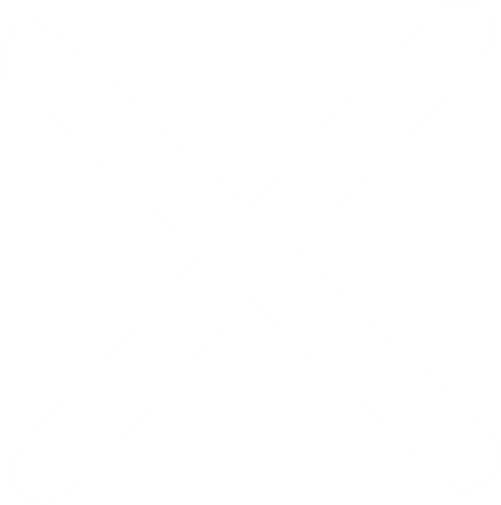 A close icon