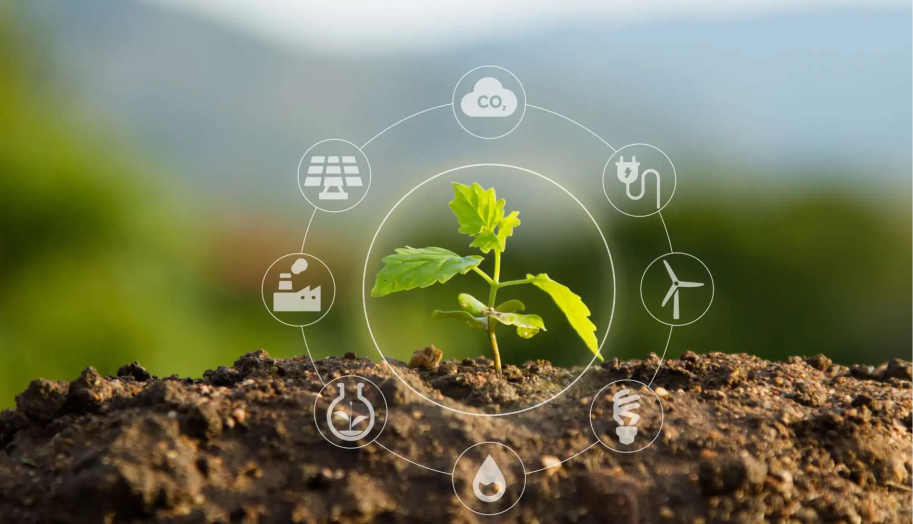 Environmental management