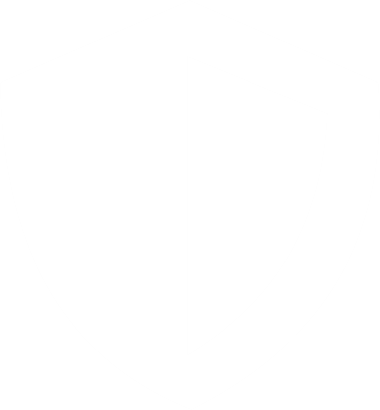 An vector icon depicting security