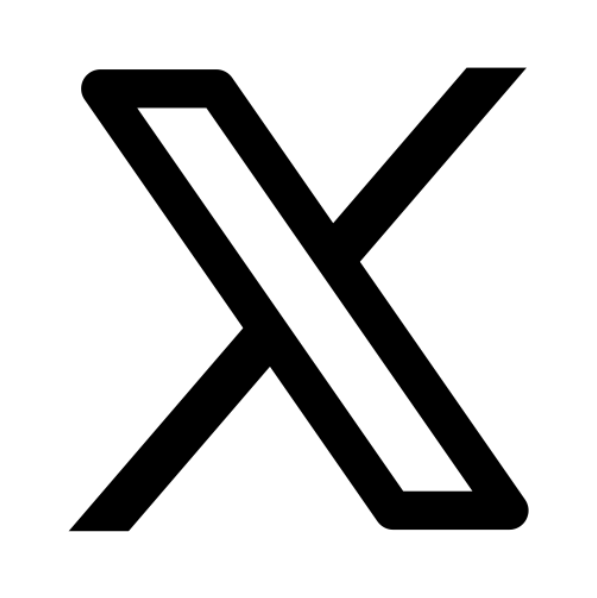 x icon